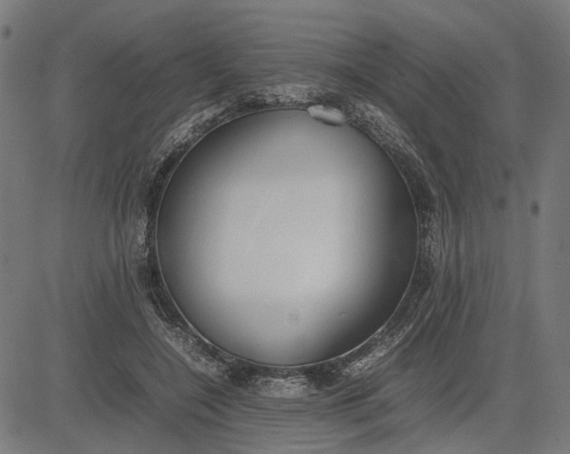 X0000082700548200702091725