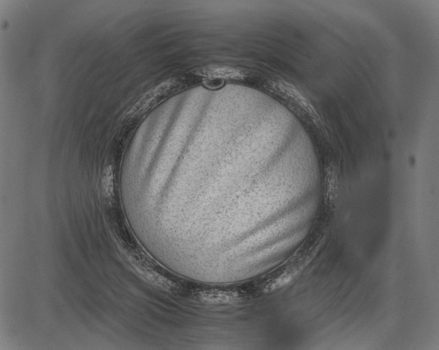 X0000082700549200702091725