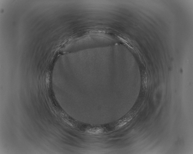 X0000082700551200702091725