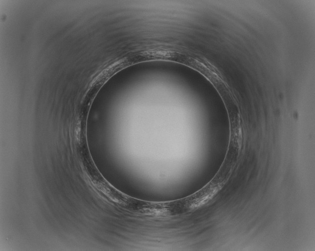 X0000082700552200702091725