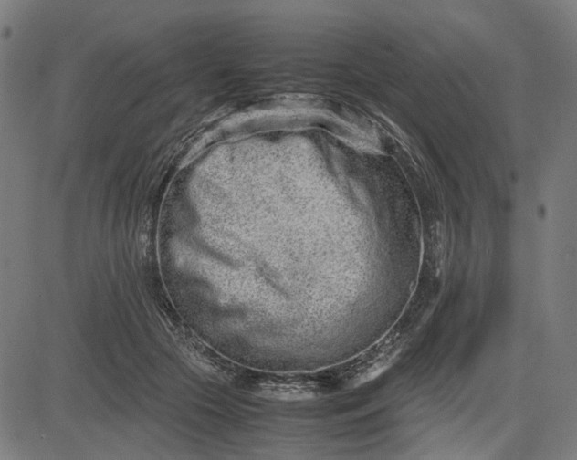 X0000082700553200702091725