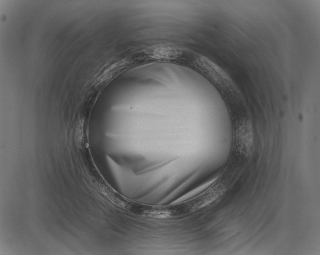 X0000082700554200702091725