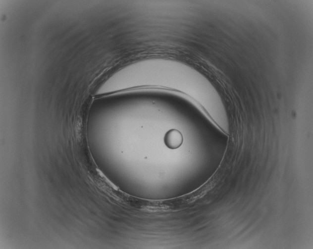 X0000082700556200702091725