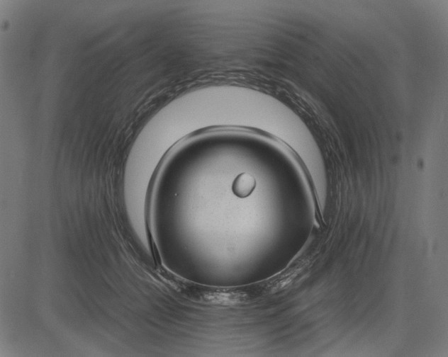 X0000082700558200702091725