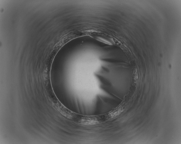 X0000082700559200702091725