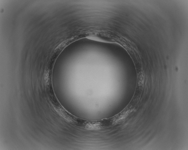 X0000082700560200702091725