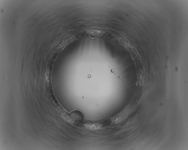 X0000082700561200702091725