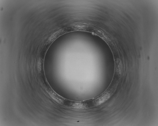 X0000082700562200702091725