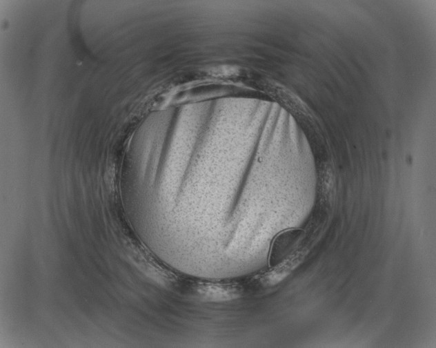 X0000082700565200702091725