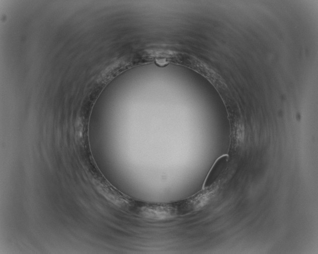 X0000082700567200702091725