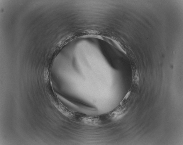 X0000082700568200702091725