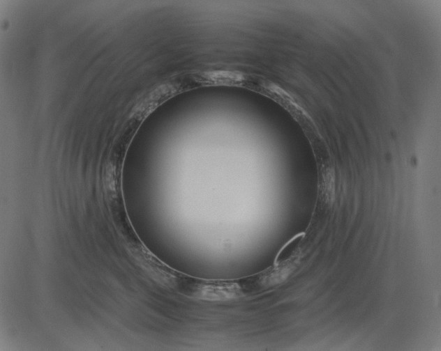 X0000082700571200702091725