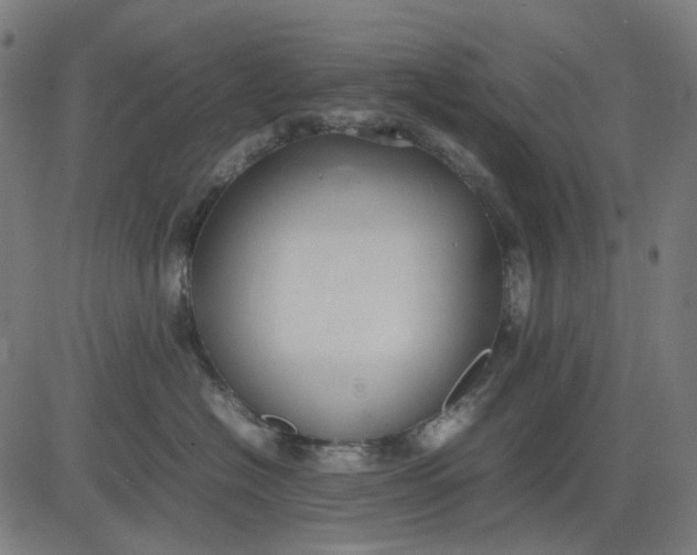 X0000082700574200702091725