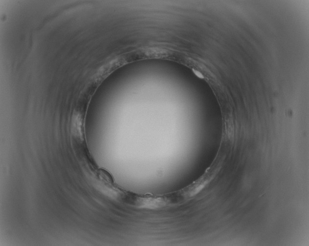 X0000082700575200702091725