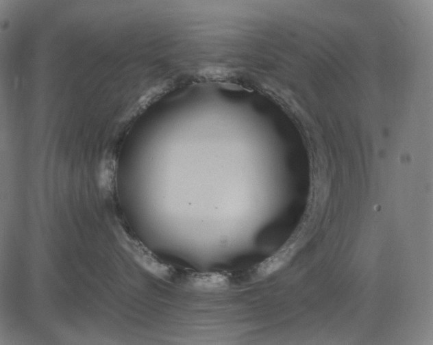 X0000082700576200702091725