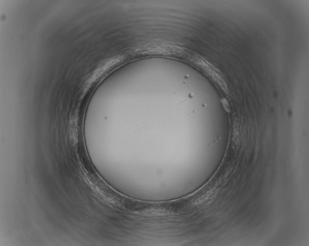 X0000082700578200702091725