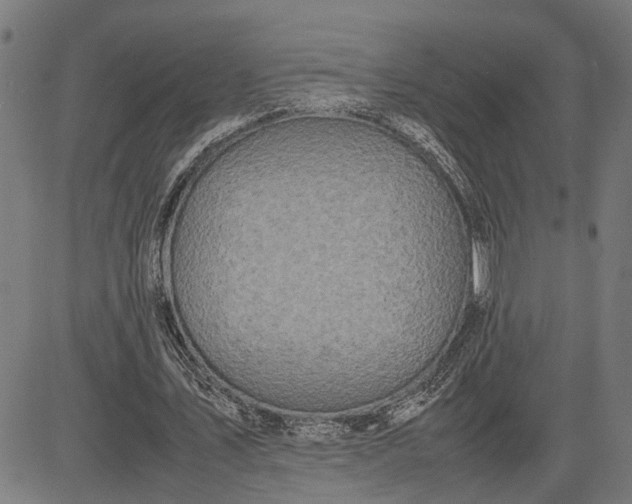 X0000082700579200702091725