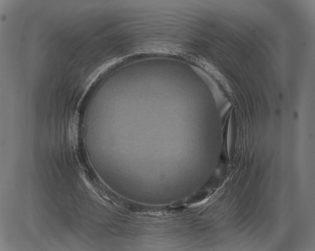 X0000082700580200702091725