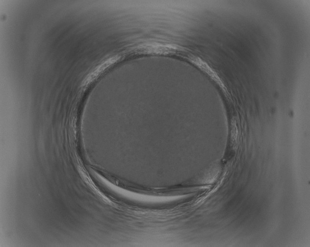 X0000082700581200702091725