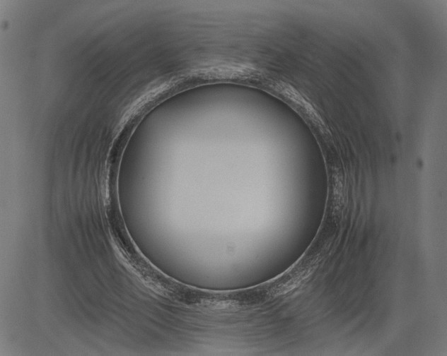 X0000082700582200702091725