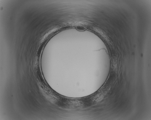 X0000082700583200702091725