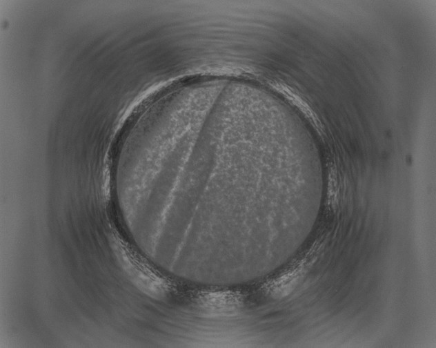 X0000082700584200702091725