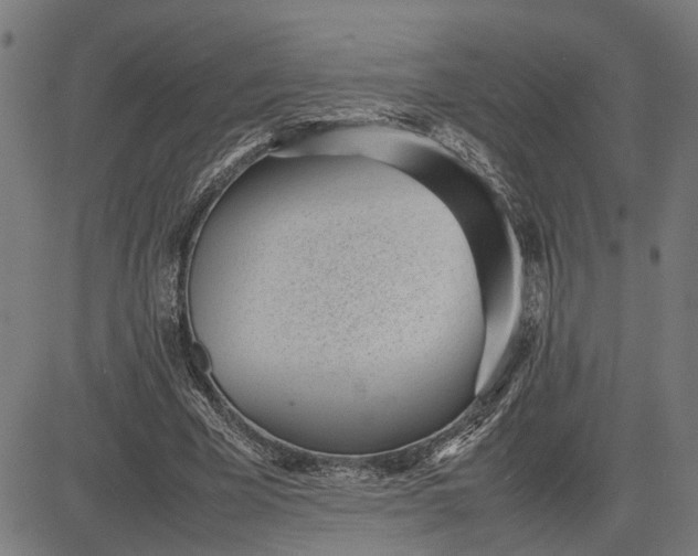 X0000082700585200702091725