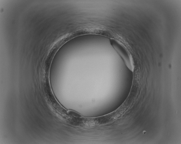 X0000082700587200702091724