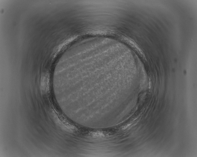 X0000082700588200702091724