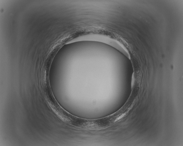 X0000082700589200702091724