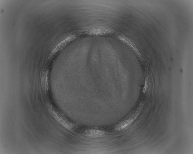 X0000082700590200702091724