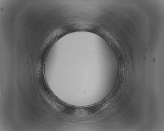 X0000082700591200702091724