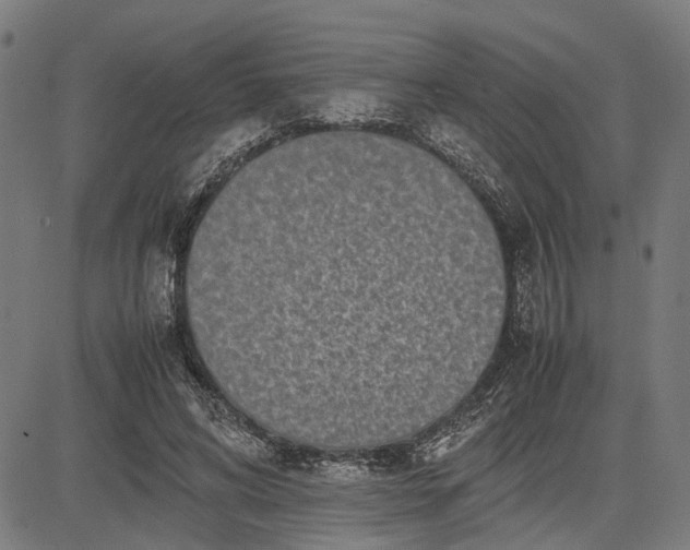 X0000082700592200702091724