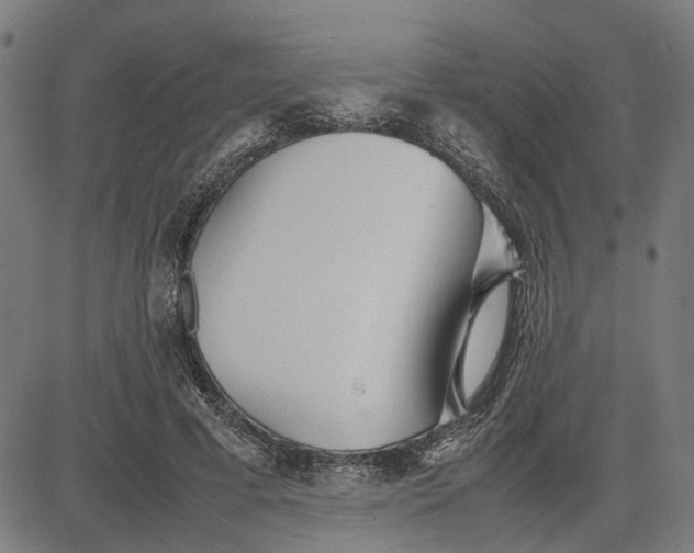 X0000082700593200702091724