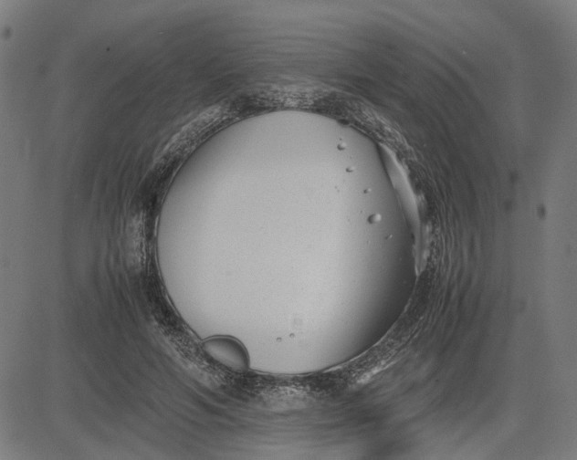 X0000082700594200702091724