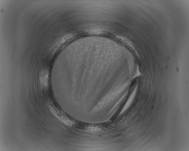 X0000082700596200702091724