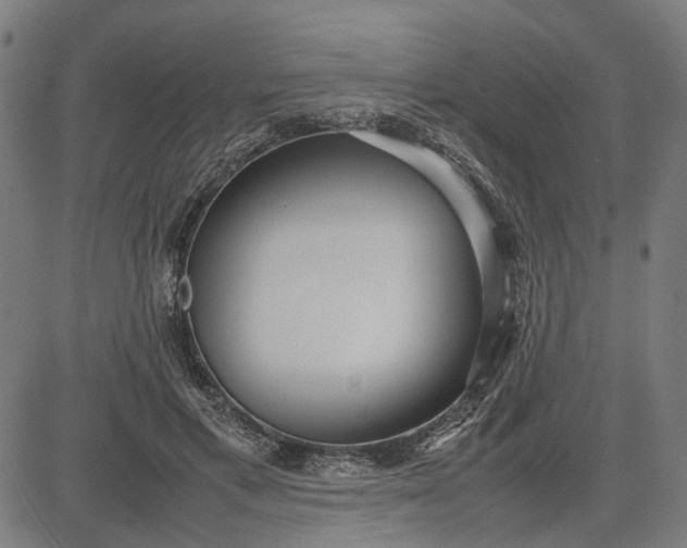 X0000082700597200702091724