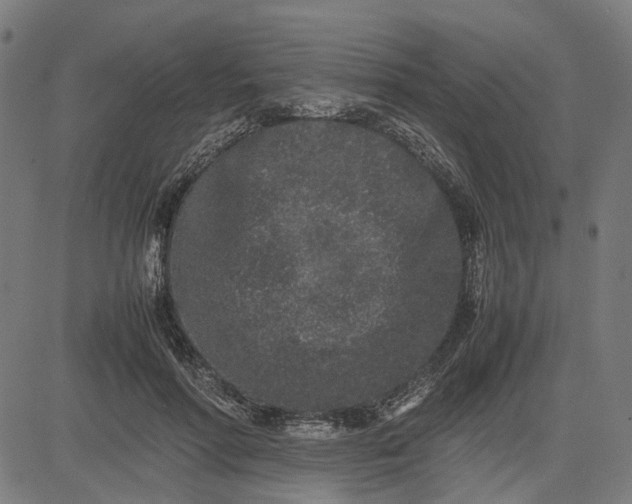 X0000082700598200702091724