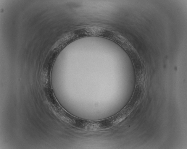 X0000082700599200702091724