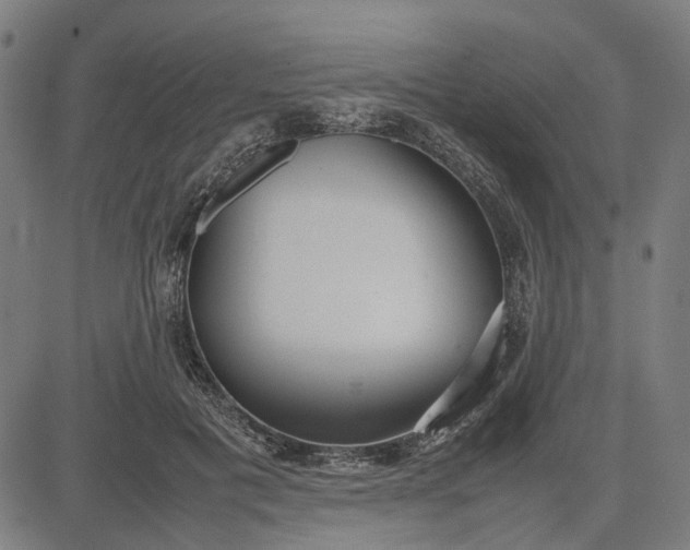 X0000082700601200702091724