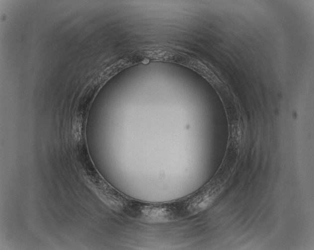 X0000082700602200702091724