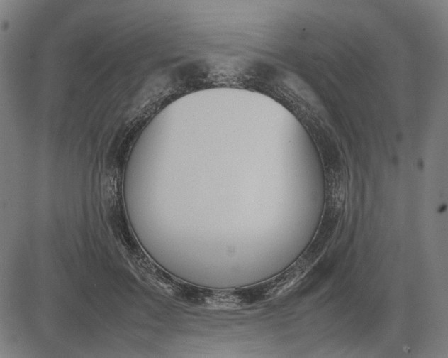 X0000082700603200702091724