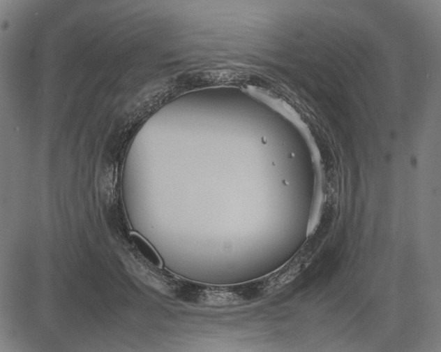 X0000082700605200702091724