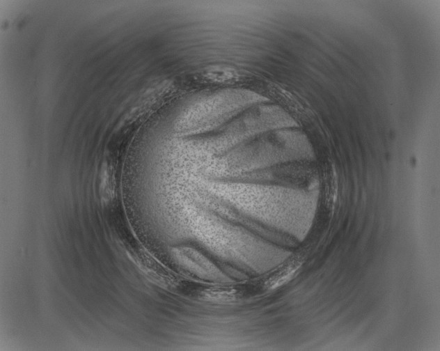 X0000082700606200702091724