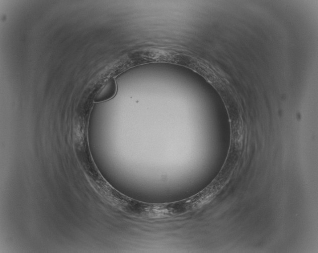 X0000082700607200702091724