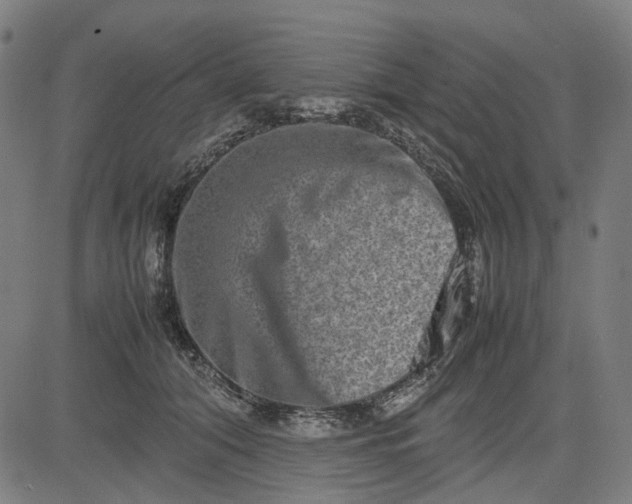 X0000082700608200702091724