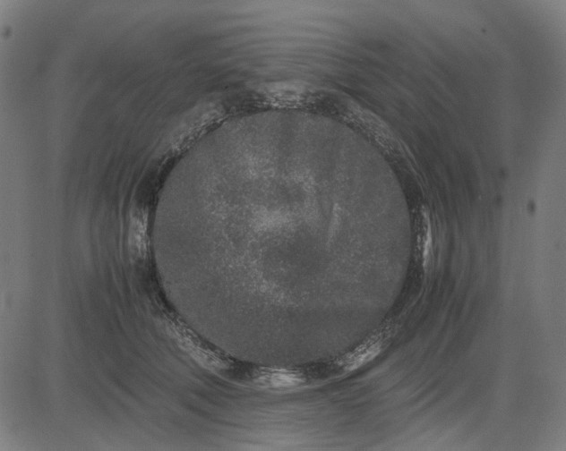 X0000082700610200702091724