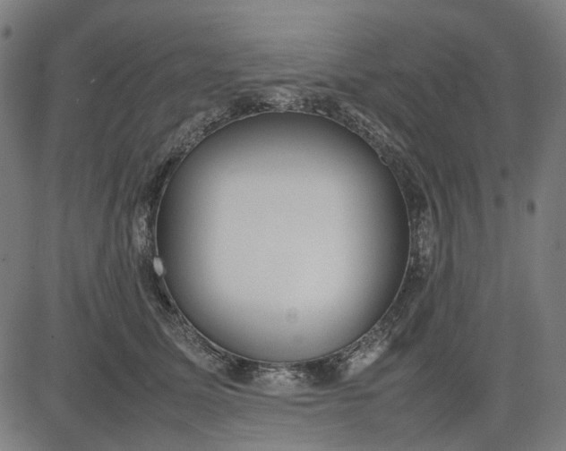 X0000082700611200702091724