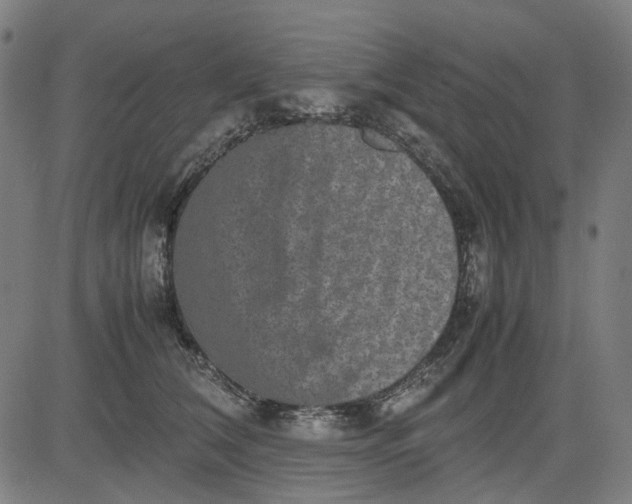 X0000082700612200702091724