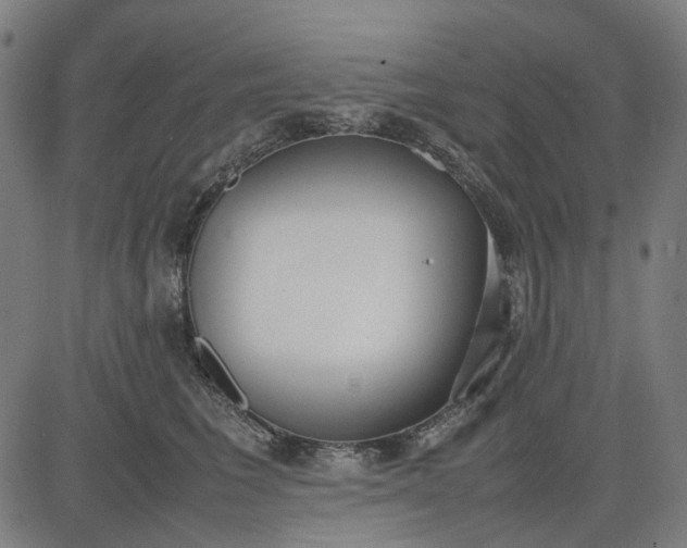 X0000082700613200702091724